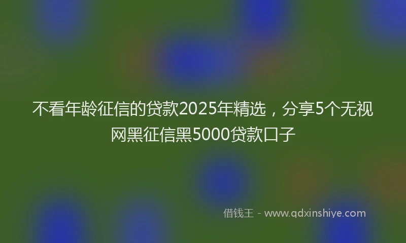 不看年龄征信的贷款2025年精选，分享5个无视网黑征信黑5000贷款口子