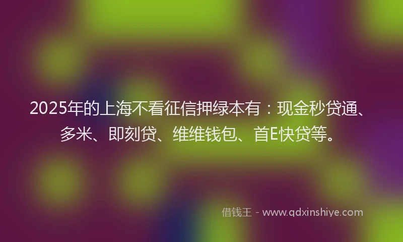 2025年的上海不看征信押绿本有：现金秒贷通、多米、即刻贷、维维钱包、首E快贷等。
