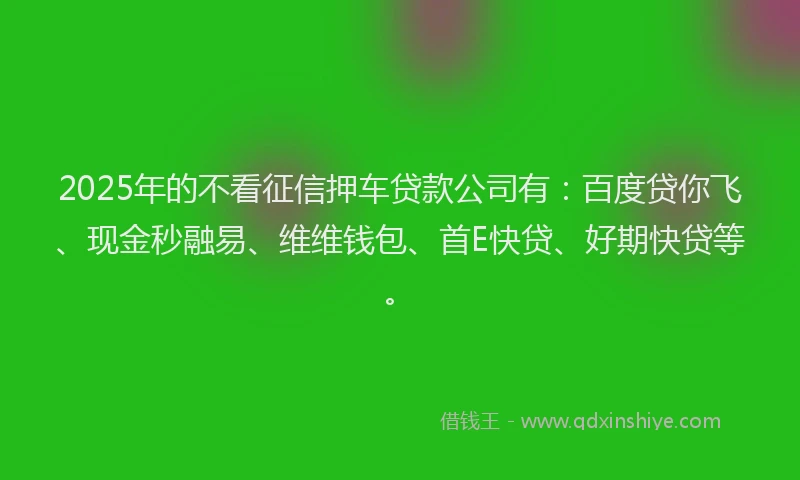 2025年的不看征信押车贷款公司有：百度贷你飞、现金秒融易、维维钱包、首E快贷、好期快贷等。