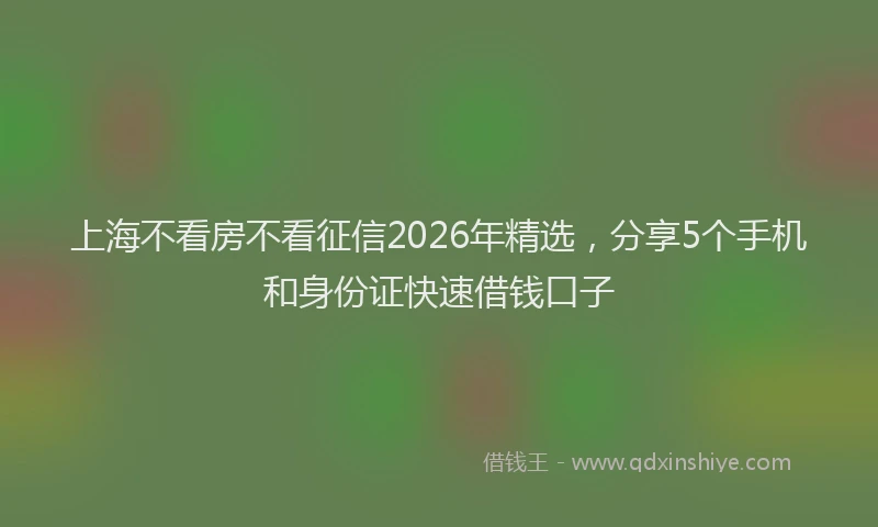 上海不看房不看征信2026年精选，分享5个手机和身份证快速借钱口子