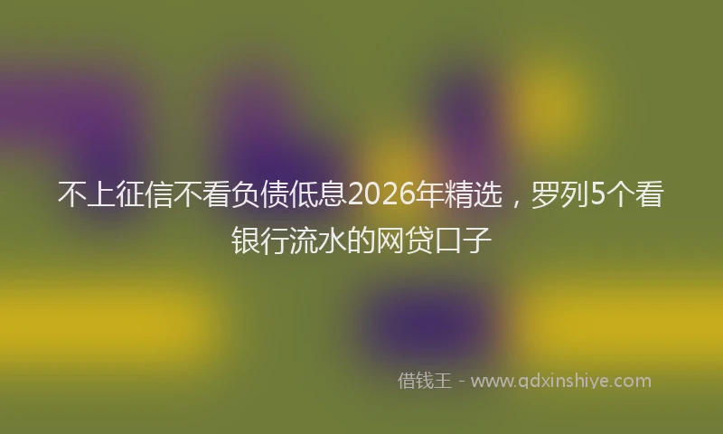 不上征信不看负债低息2026年精选,罗列5个看银行流水的网贷口子