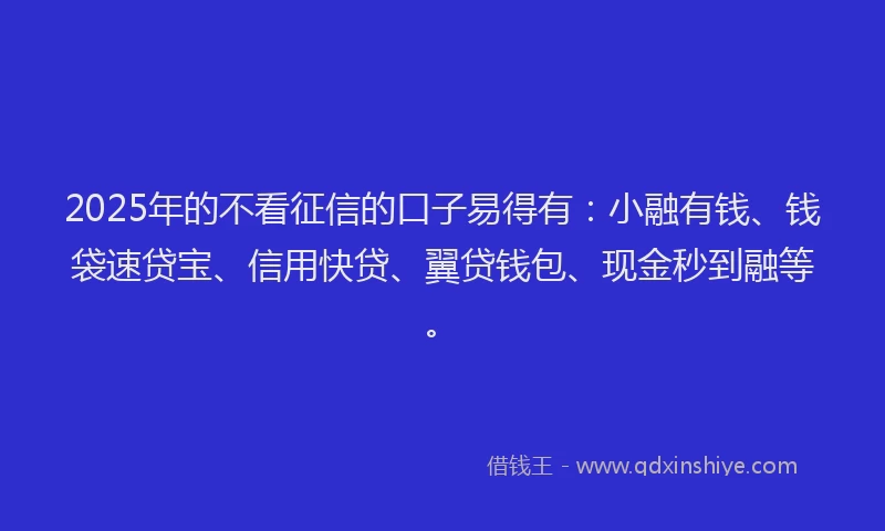 2025年的不看征信的口子易得有：小融有钱、钱袋速贷宝、信用快贷、翼贷钱包、现金秒到融等。