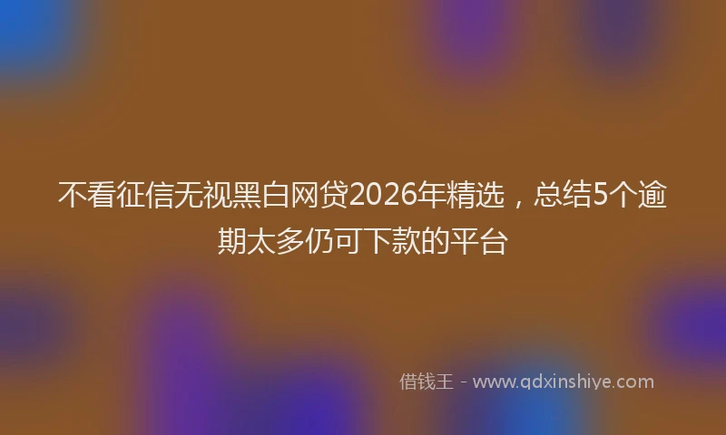不看征信无视黑白网贷2026年精选,总结5个逾期太多仍可下款的平台