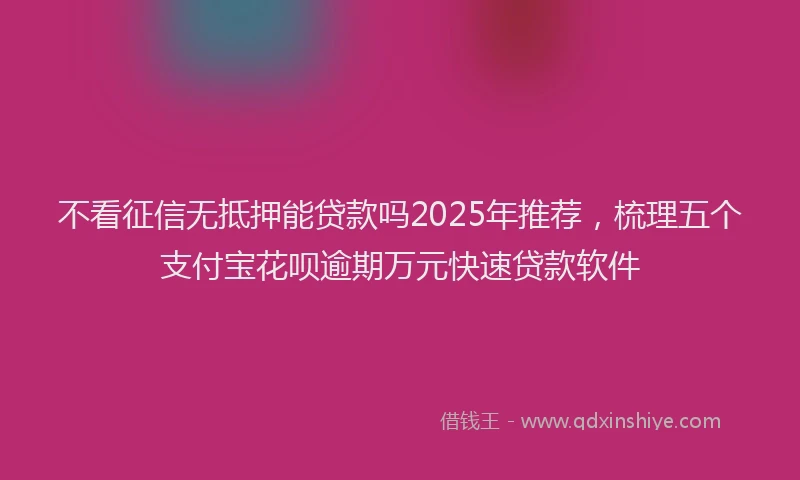 不看征信无抵押能贷款吗2025年推荐,梳理五个支付宝花呗逾期万元快速贷款软件