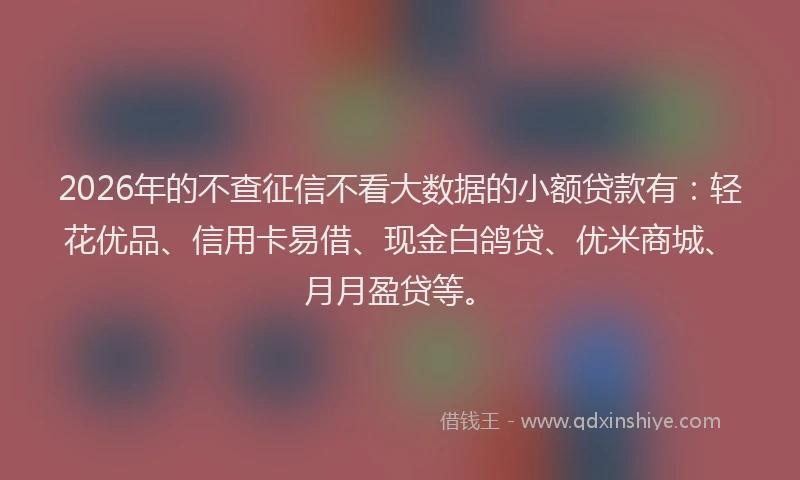 2026年的不查征信不看大数据的小额贷款有:轻花优品、信用卡易借、现金白鸽贷、优米商城、月月盈贷等。