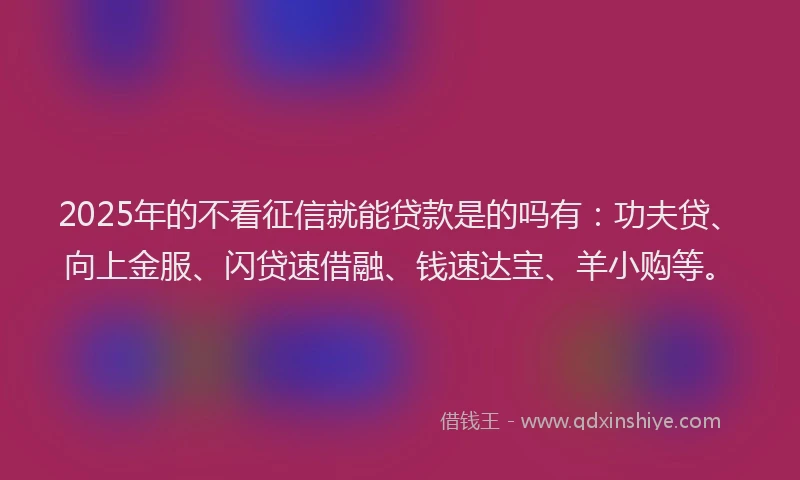 2025年的不看征信就能贷款是的吗有：功夫贷、向上金服、闪贷速借融、钱速达宝、羊小购等。