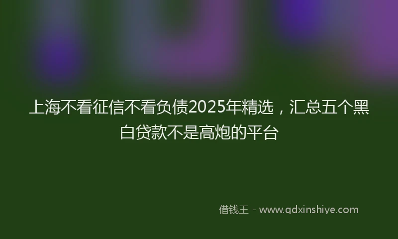 上海不看征信不看负债2025年精选，汇总五个黑白贷款不是高炮的平台