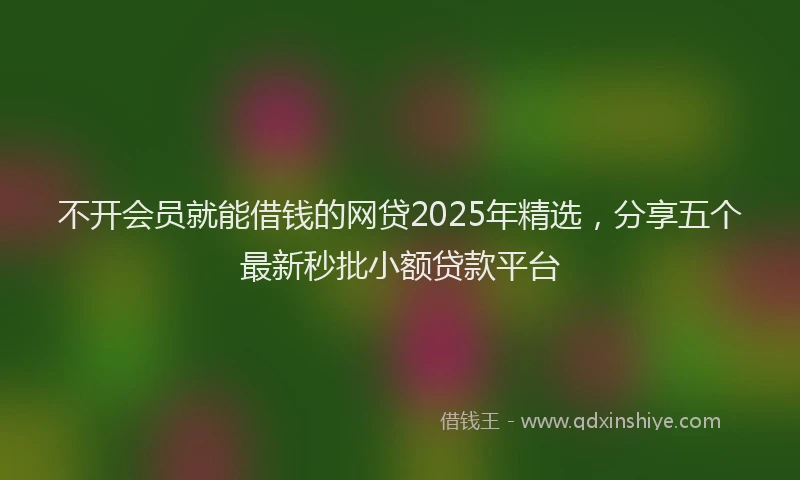 不开会员就能借钱的网贷2025年精选,分享五个最新秒批小额贷款平台