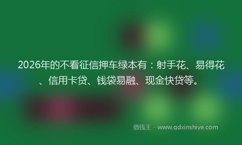 2026年的不看征信押车绿本有：射手花、易得花、信用卡贷、钱袋易融、现金快贷等。