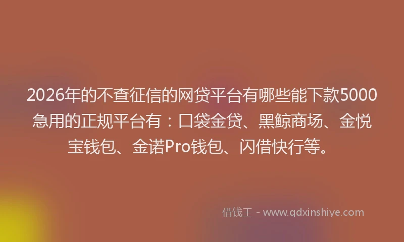 2026年的不查征信的网贷平台有哪些能下款5000急用的正规平台有：口袋金贷、黑鲸商场、金悦宝钱包、金诺Pro钱包、闪借快行等。
