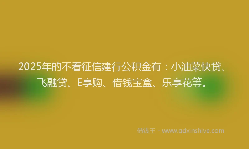 2025年的不看征信建行公积金有：小油菜快贷、飞融贷、E享购、借钱宝盒、乐享花等。