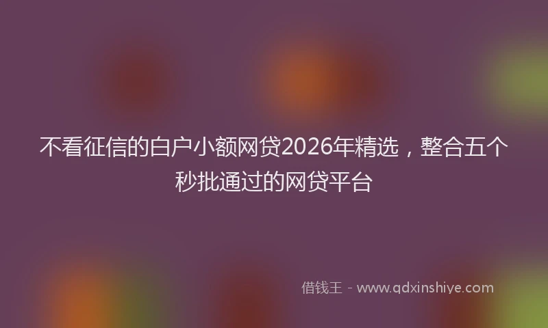不看征信的白户小额网贷2026年精选,整合五个秒批通过的网贷平台