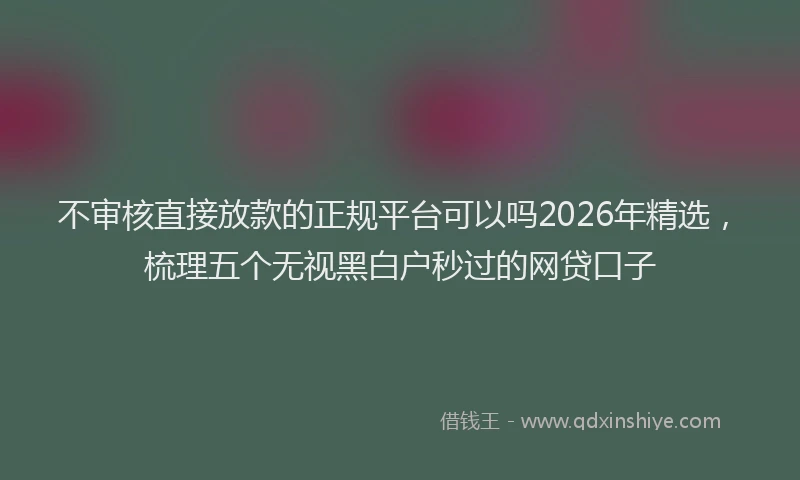 不审核直接放款的正规平台可以吗2026年精选,梳理五个无视黑白户秒过的网贷口子