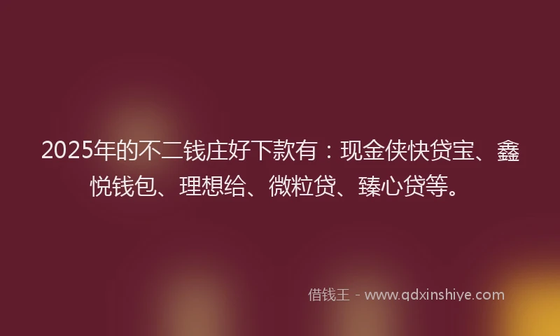 2025年的不二钱庄好下款有:现金侠快贷宝、鑫悦钱包、理想给、微粒贷、臻心贷等。