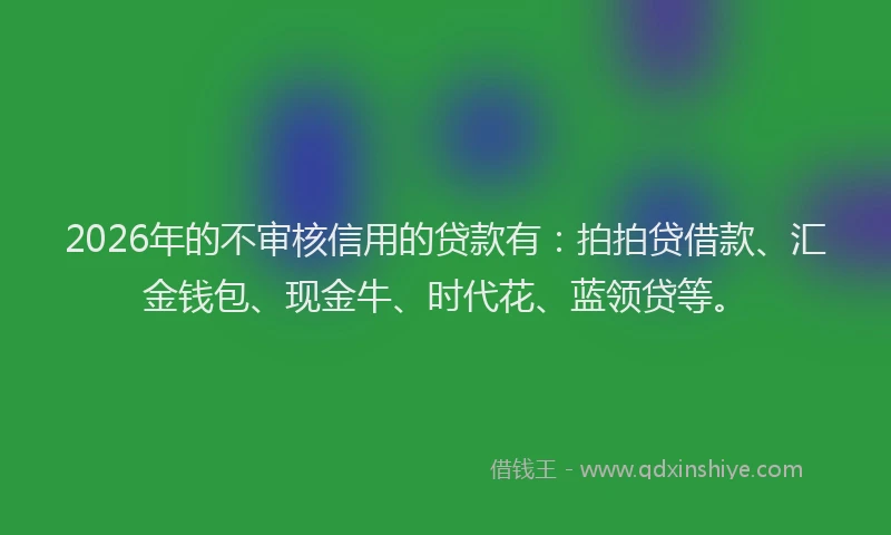 2026年的不审核信用的贷款有：拍拍贷借款、汇金钱包、现金牛、时代花、蓝领贷等。