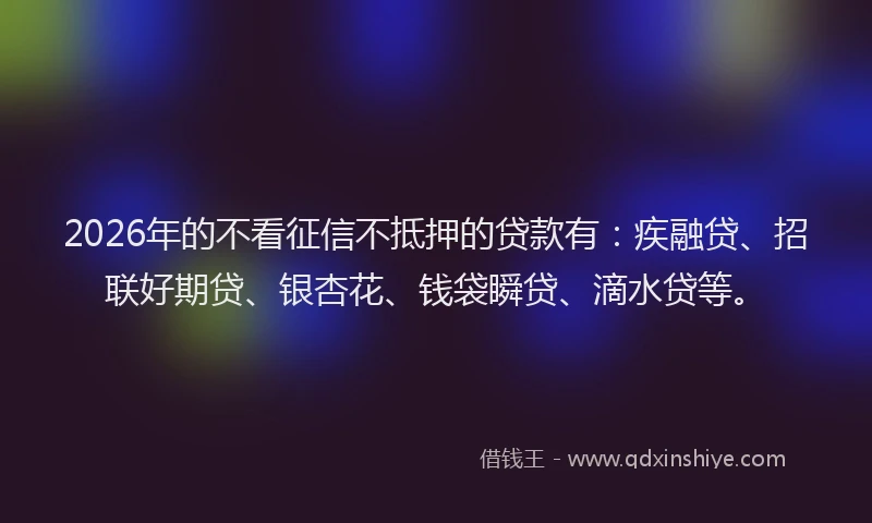 2026年的不看征信不抵押的贷款有：疾融贷、招联好期贷、银杏花、钱袋瞬贷、滴水贷等。