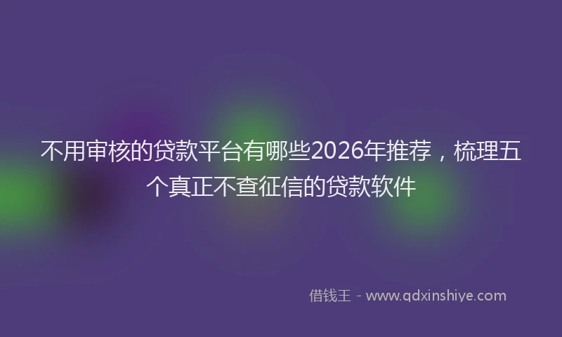 不用审核的贷款平台有哪些2026年推荐，梳理五个真正不查征信的贷款软件