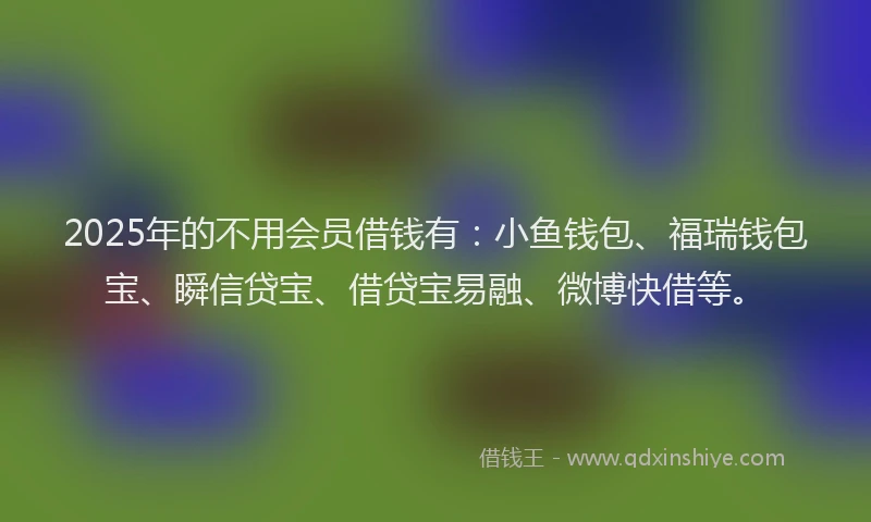 2025年的不用会员借钱有：小鱼钱包、福瑞钱包宝、瞬信贷宝、借贷宝易融、微博快借等。