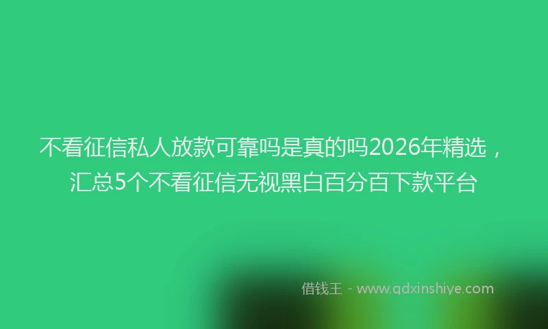 不看征信私人放款可靠吗是真的吗2026年精选，汇总5个不看征信无视黑白百分百下款平台