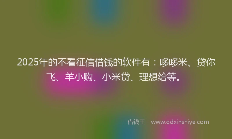 2025年的不看征信借钱的软件有：哆哆米、贷你飞、羊小购、小米贷、理想给等。