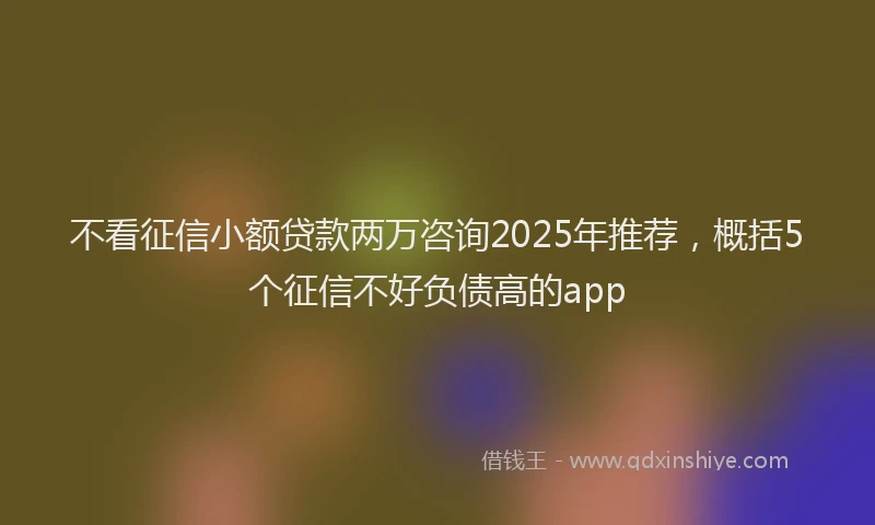 不看征信小额贷款两万咨询2025年推荐,概括5个征信不好负债高的app