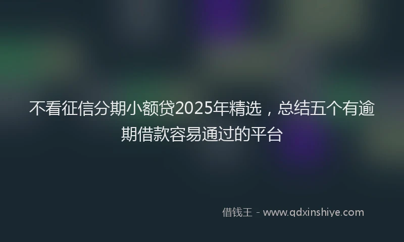 不看征信分期小额贷2025年精选,总结五个有逾期借款容易通过的平台