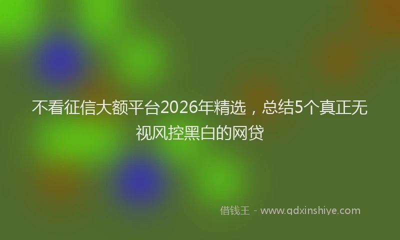 不看征信大额平台2026年精选，总结5个真正无视风控黑白的网贷