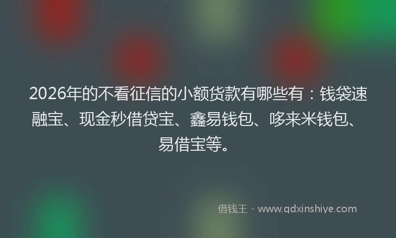 2026年的不看征信的小额货款有哪些有：钱袋速融宝、现金秒借贷宝、鑫易钱包、哆来米钱包、易借宝等。