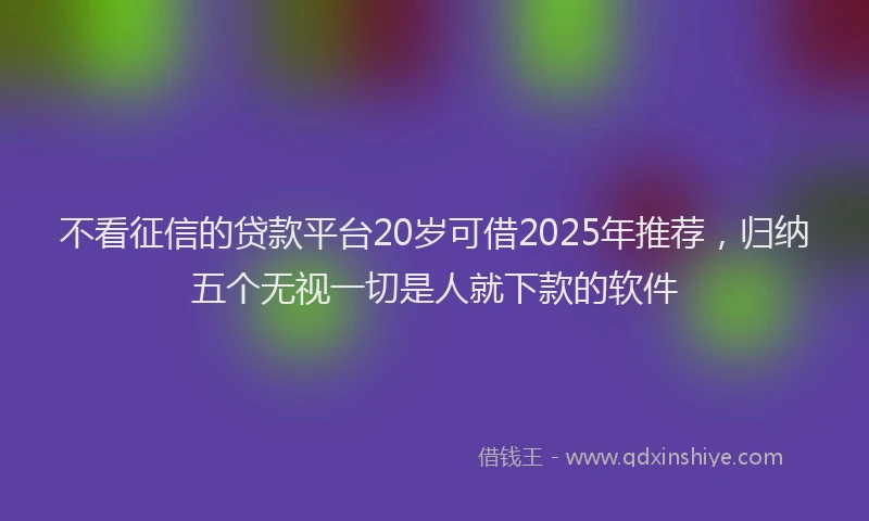 不看征信的贷款平台20岁可借2025年推荐，归纳五个无视一切是人就下款的软件