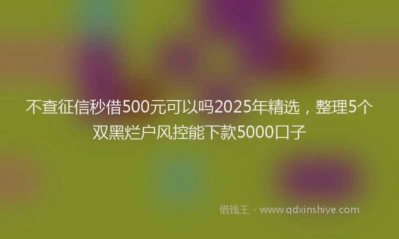不查征信秒借500元可以吗2025年精选，整理5个双黑烂户风控能下款5000口子