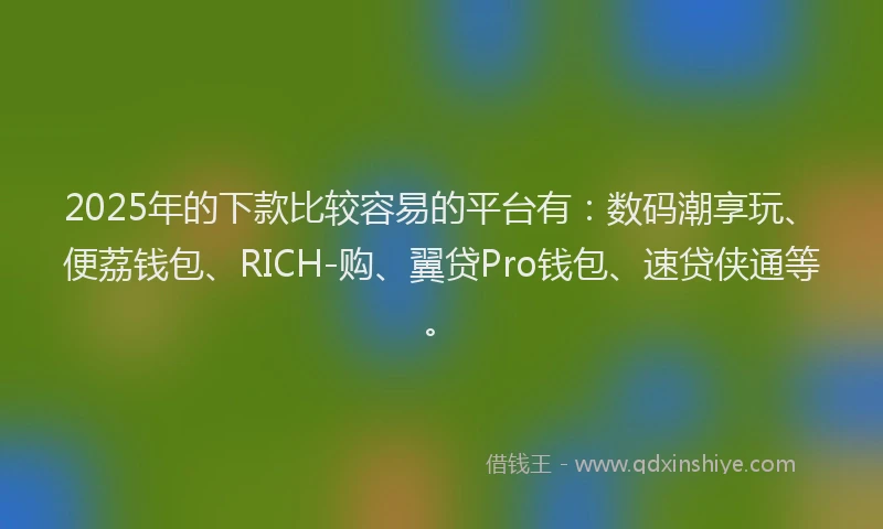 2025年的下款比较容易的平台有：数码潮享玩、便荔钱包、RICH-购、翼贷Pro钱包、速贷侠通等。