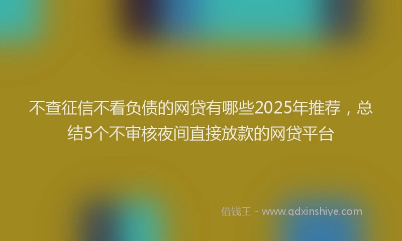 不查征信不看负债的网贷有哪些2025年推荐，总结5个不审核夜间直接放款的网贷平台
