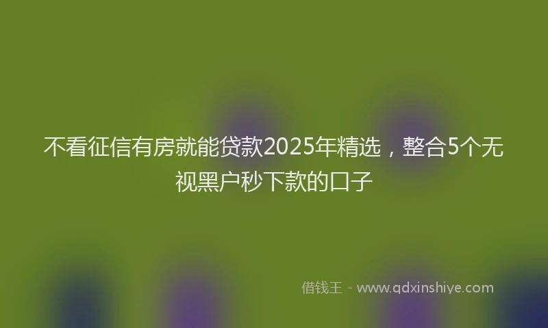 不看征信有房就能贷款2025年精选,整合5个无视黑户秒下款的口子