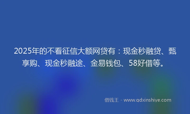 2025年的不看征信大额网贷有：现金秒融贷、甄享购、现金秒融途、金易钱包、58好借等。