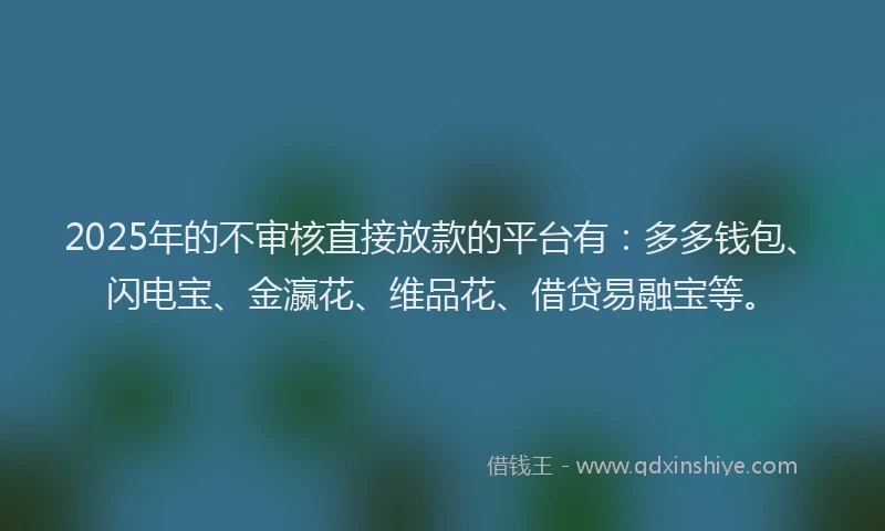 2025年的不审核直接放款的平台有:多多钱包、闪电宝、金瀛花、维品花、借贷易融宝等。