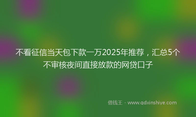 不看征信当天包下款一万2025年推荐，汇总5个不审核夜间直接放款的网贷口子