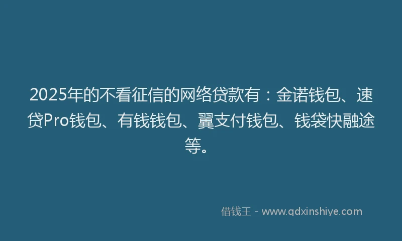 2025年的不看征信的网络贷款有：金诺钱包、速贷Pro钱包、有钱钱包、翼支付钱包、钱袋快融途等。