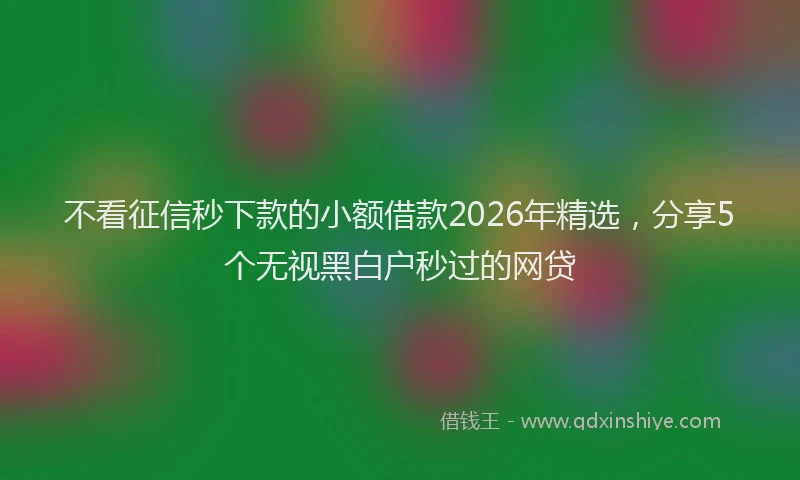 不看征信秒下款的小额借款2026年精选，分享5个无视黑白户秒过的网贷