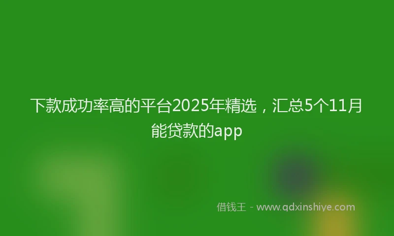 下款成功率高的平台2025年精选,汇总5个11月能贷款的app