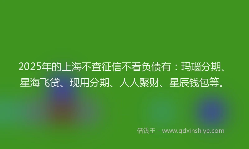 2025年的上海不查征信不看负债有：玛瑙分期、星海飞贷、现用分期、人人聚财、星辰钱包等。