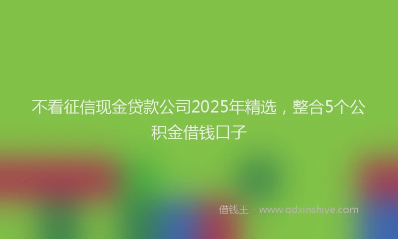 不看征信现金贷款公司2025年精选，整合5个公积金借钱口子