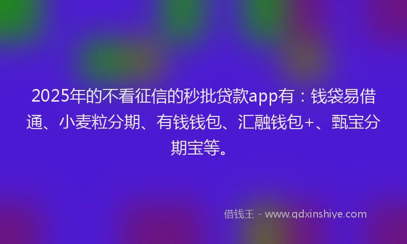 2025年的不看征信的秒批贷款app有：钱袋易借通、小麦粒分期、有钱钱包、汇融钱包+、甄宝分期宝等。
