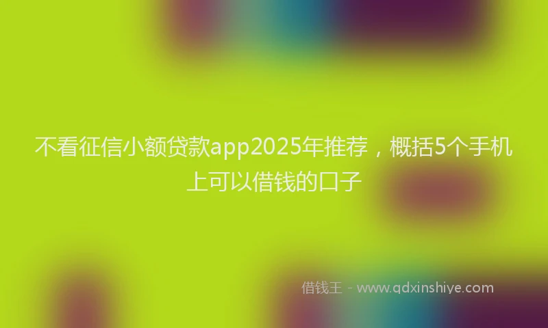 不看征信小额贷款app2025年推荐，概括5个手机上可以借钱的口子