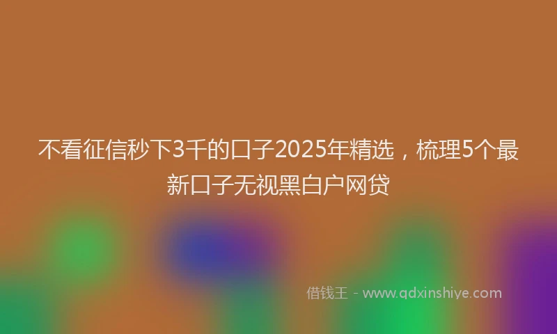 不看征信秒下3千的口子2025年精选，梳理5个最新口子无视黑白户网贷