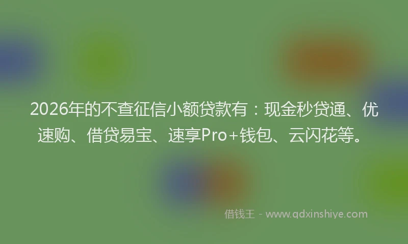 2026年的不查征信小额贷款有：现金秒贷通、优速购、借贷易宝、速享Pro+钱包、云闪花等。