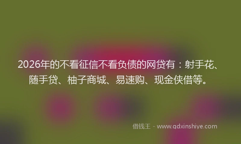 2026年的不看征信不看负债的网贷有：射手花、随手贷、柚子商城、易速购、现金侠借等。