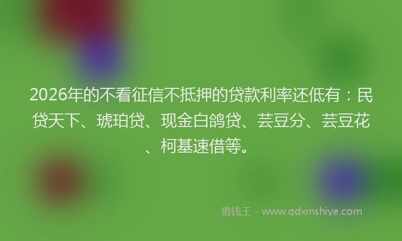 2026年的不看征信不抵押的贷款利率还低有：民贷天下、琥珀贷、现金白鸽贷、芸豆分、芸豆花、柯基速借等。