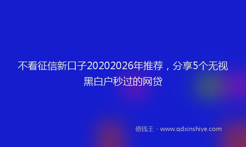 不看征信新口子20202026年推荐,分享5个无视黑白户秒过的网贷