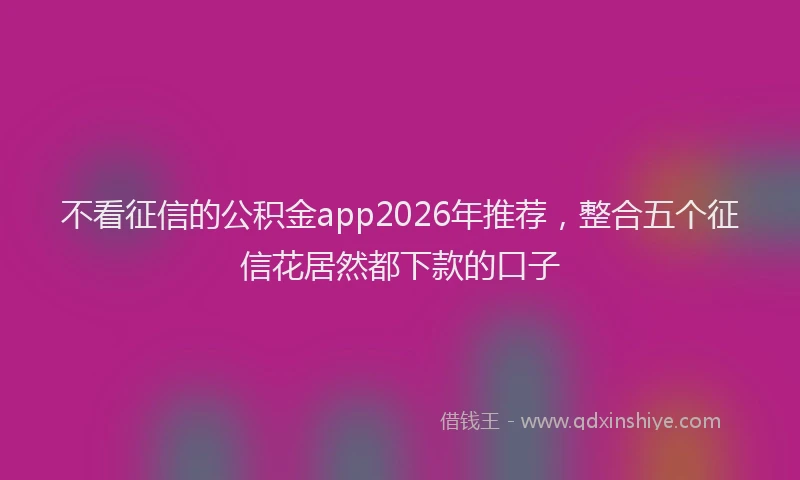 不看征信的公积金app2026年推荐，整合五个征信花居然都下款的口子