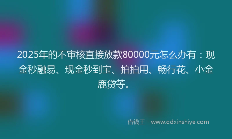 2025年的不审核直接放款80000元怎么办有:现金秒融易、现金秒到宝、拍拍用、畅行花、小金鹿贷等。